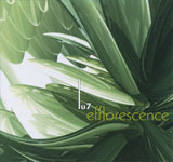 Lu7 / efflorescence