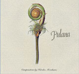 �����Ђ낱 / �v���[�i