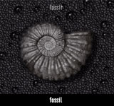 �t�H�b�V�� / �t�H�b�V��