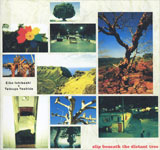Eiko Ishibashi + Tatsuya Yoshida / slip beneath the distant tree