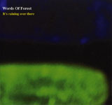 Words Of Forest / It's raining over there