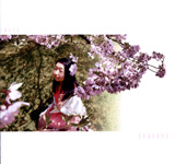 axis / seasons